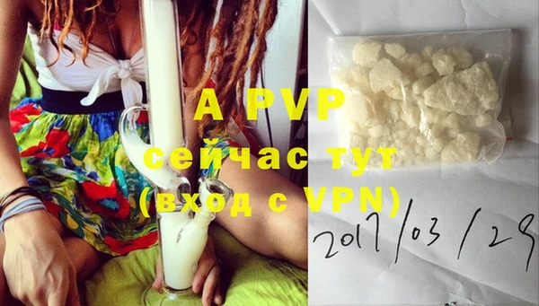 ECSTASY Строитель