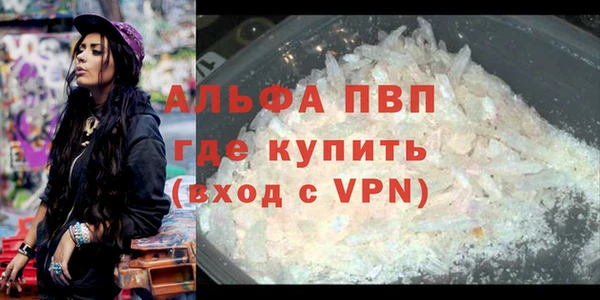 ECSTASY Вяземский