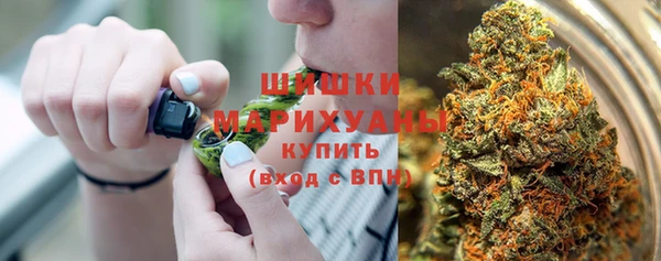 ECSTASY Вяземский