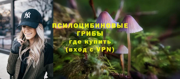 мяу мяу мука Горно-Алтайск