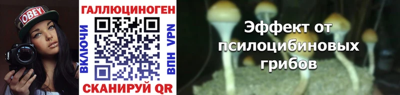 где купить наркоту  Переславль-Залесский  Галлюциногенные грибы Psilocybe 